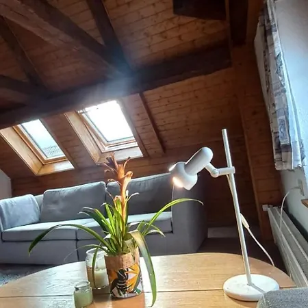 Privatzimmer Im Zentrum Apartment